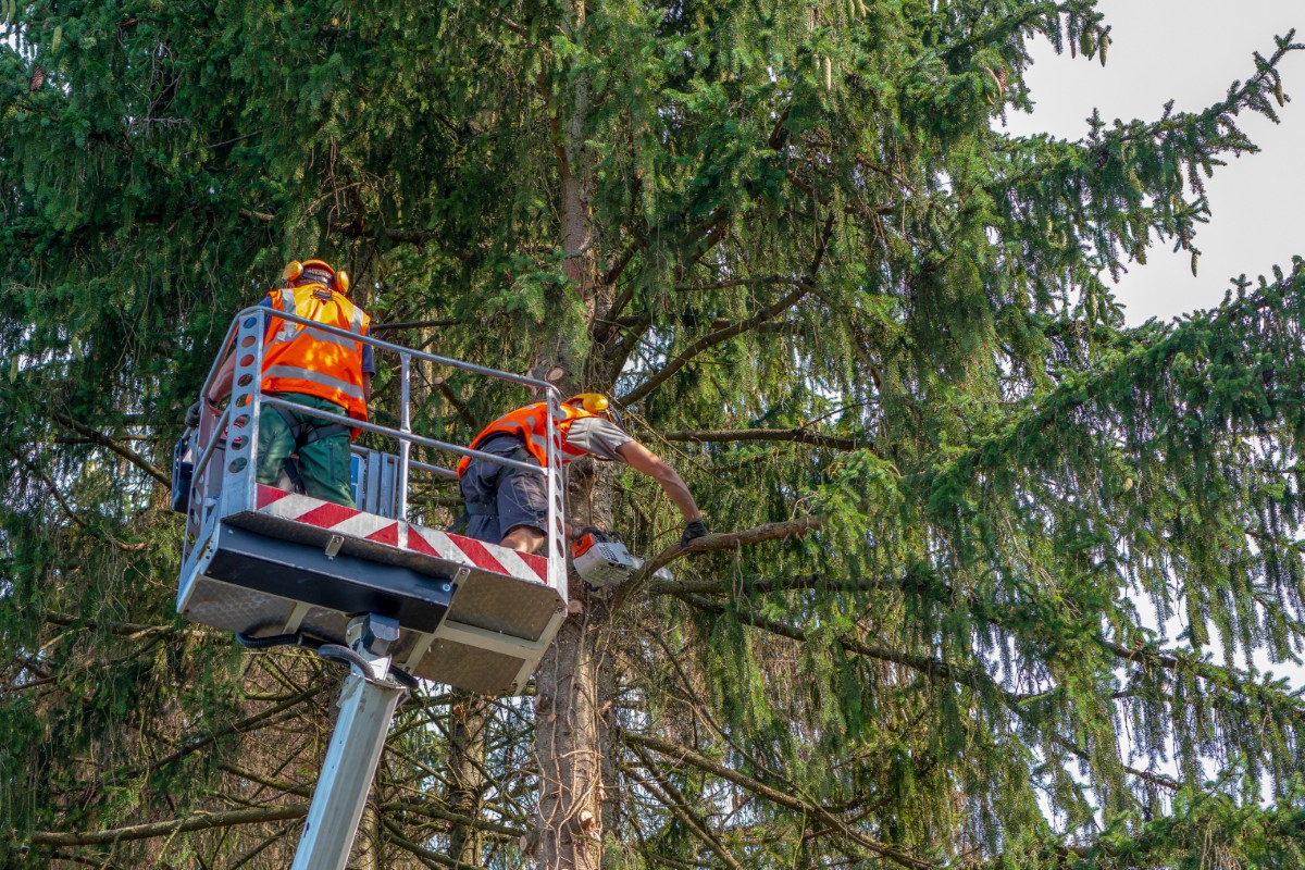 Autokran in Benutzung